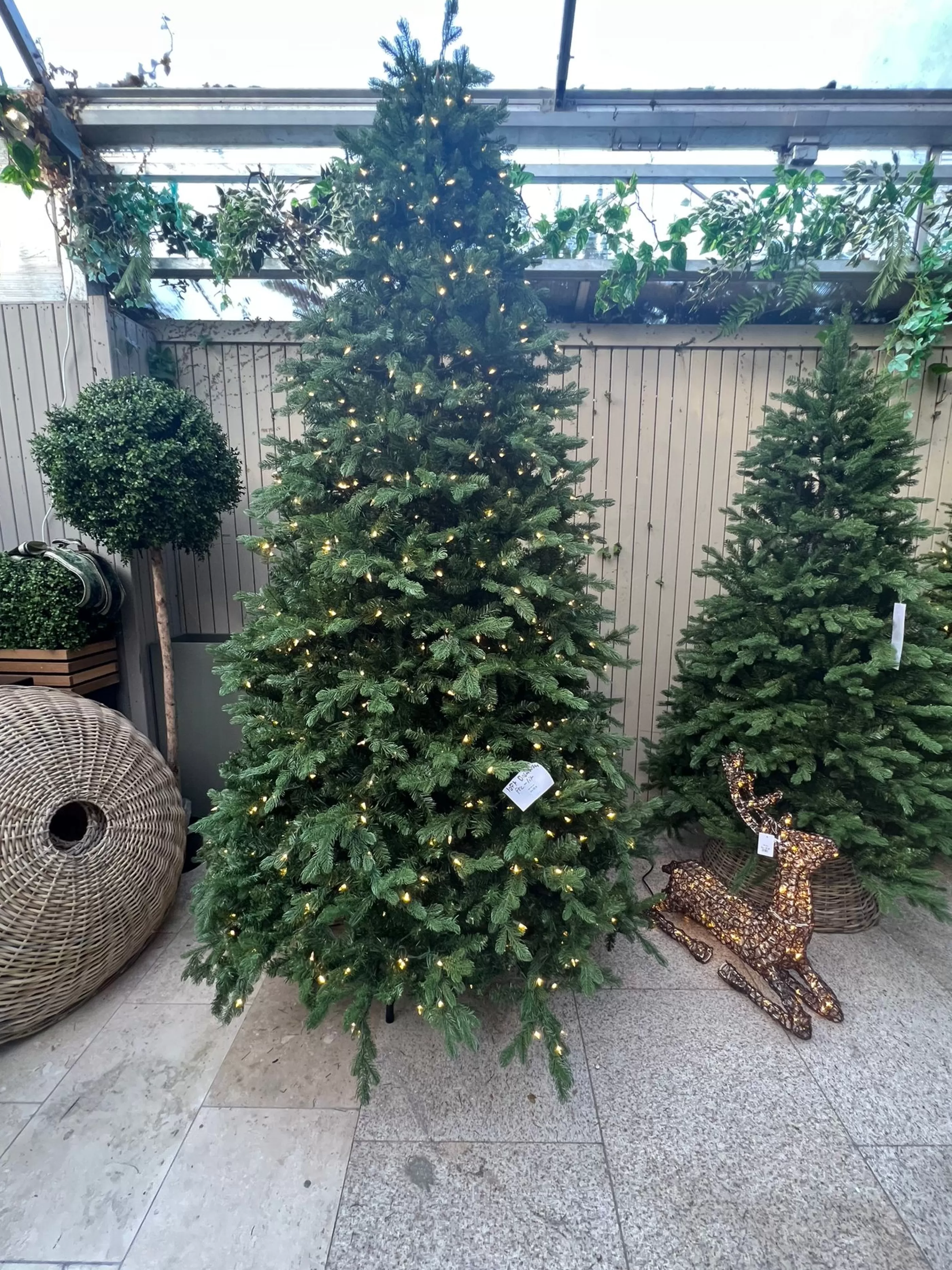 10Ft Feel Real Bosworth Spruce Artificial Christmas Tree Pre-Lit*Christmas Land Clearance