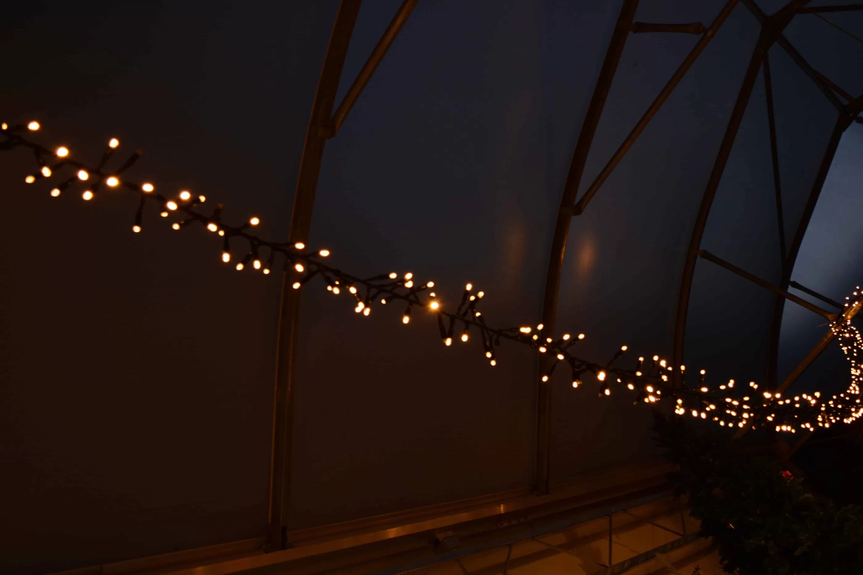 180 Led Xp Heavy Duty Connectable Outdoor Cluster Christmas Lights Fdl (3M) Twinkle*Christmas Land Store