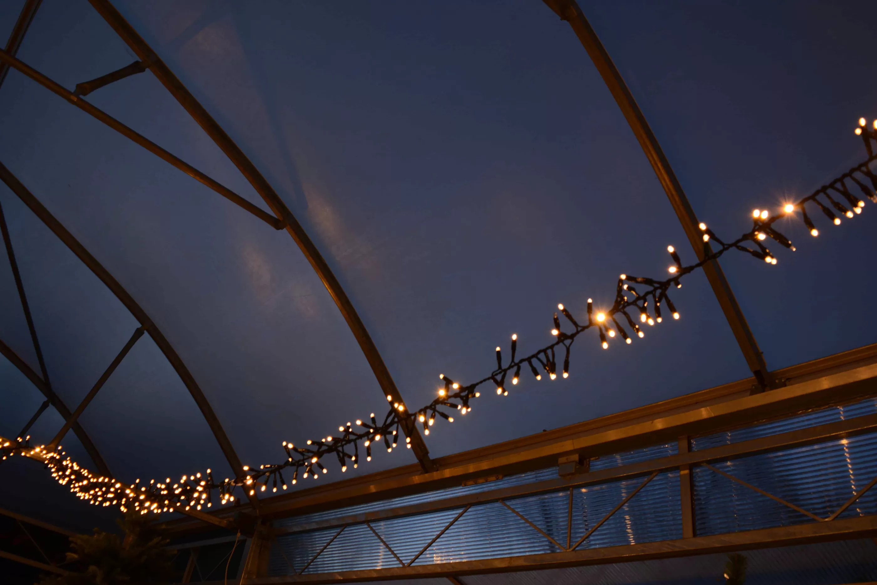 180 Led Xp Heavy Duty Connectable Outdoor Static Cluster Christmas Lights Fdl (3M)*Christmas Land Clearance