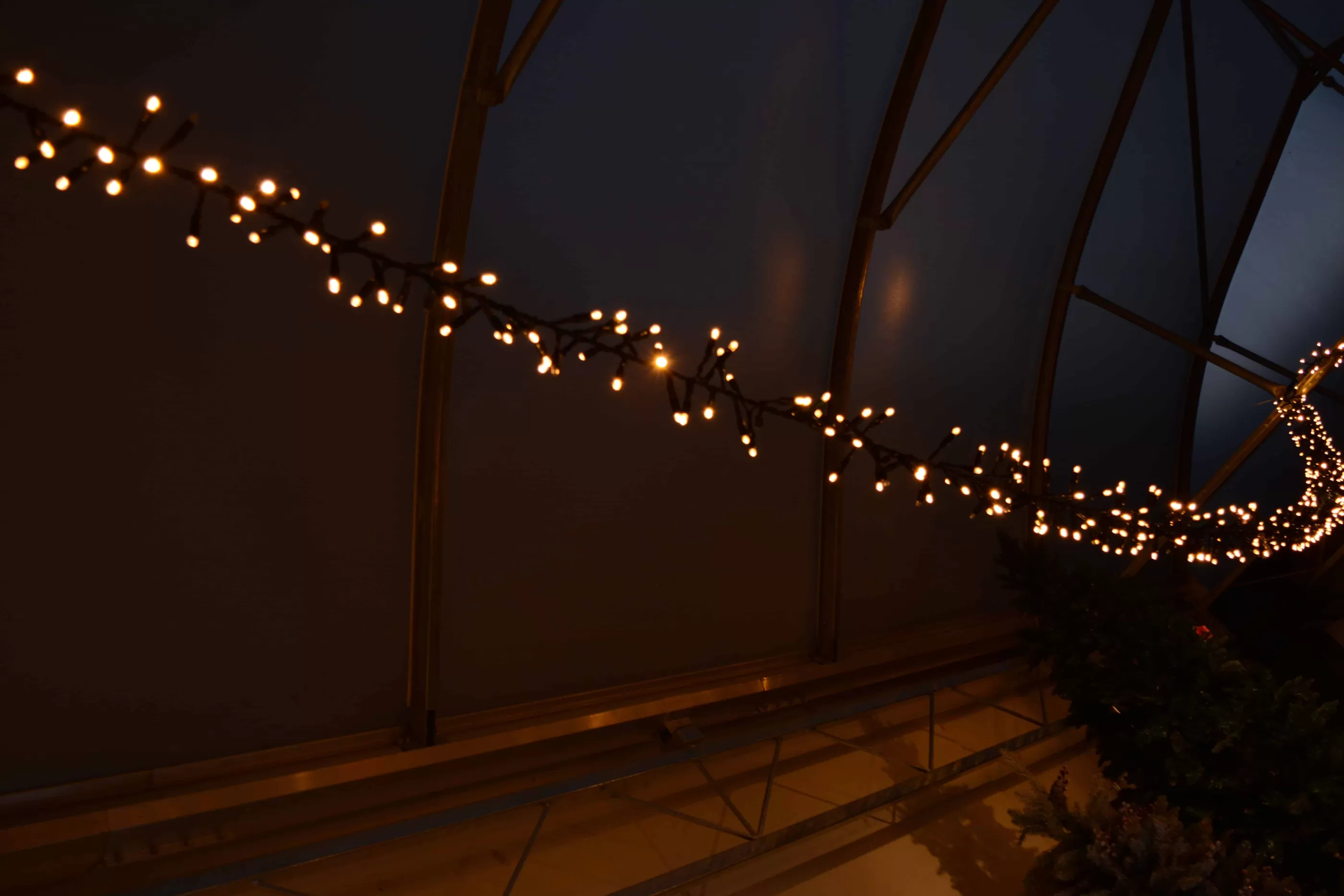 180 Led Xp Heavy Duty Connectable Outdoor Static Cluster Christmas Lights Fdl (3M)*Christmas Land Clearance