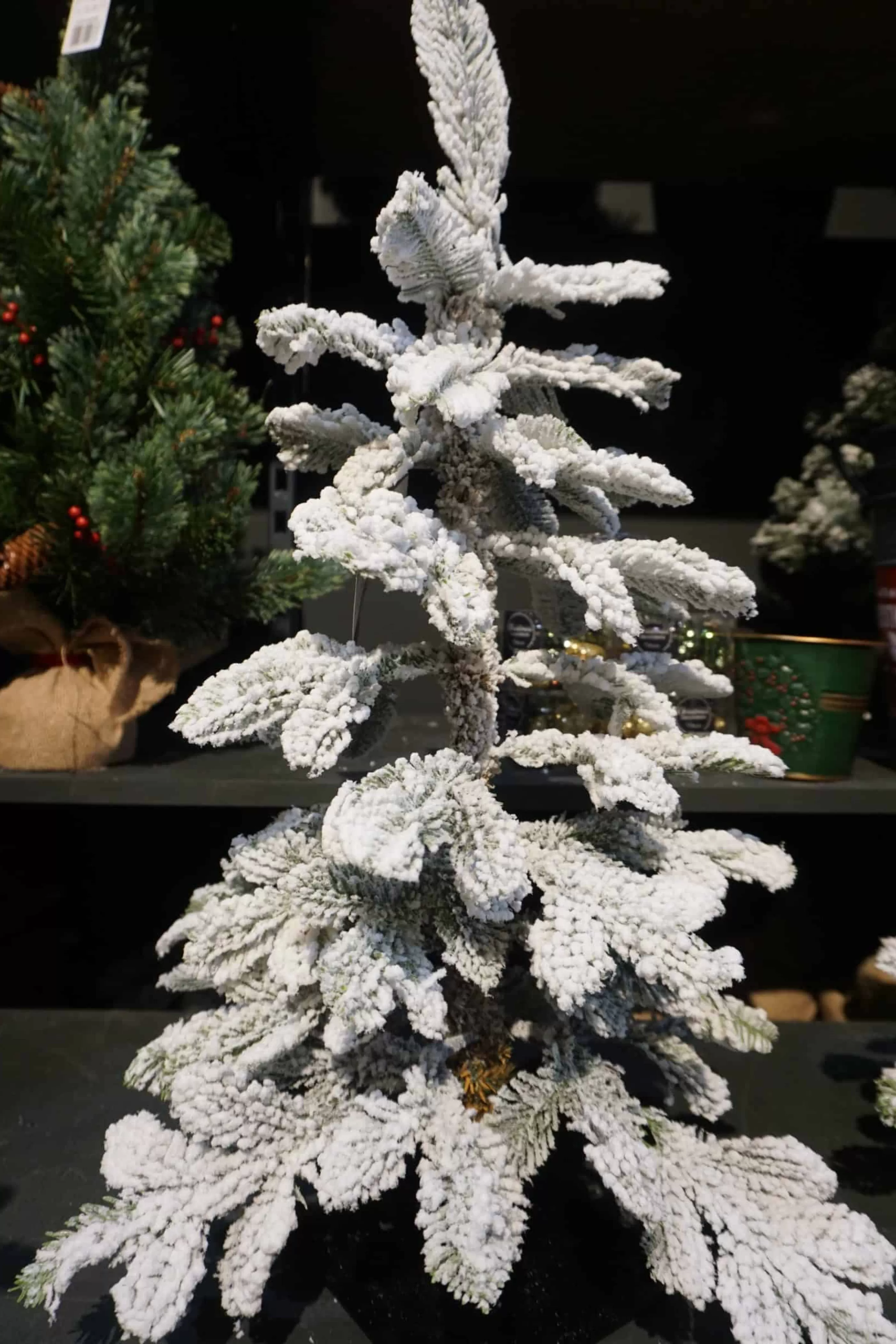 2Ft Snowy Alpine Mini Artificial Christmas Tree*Christmas Land Store