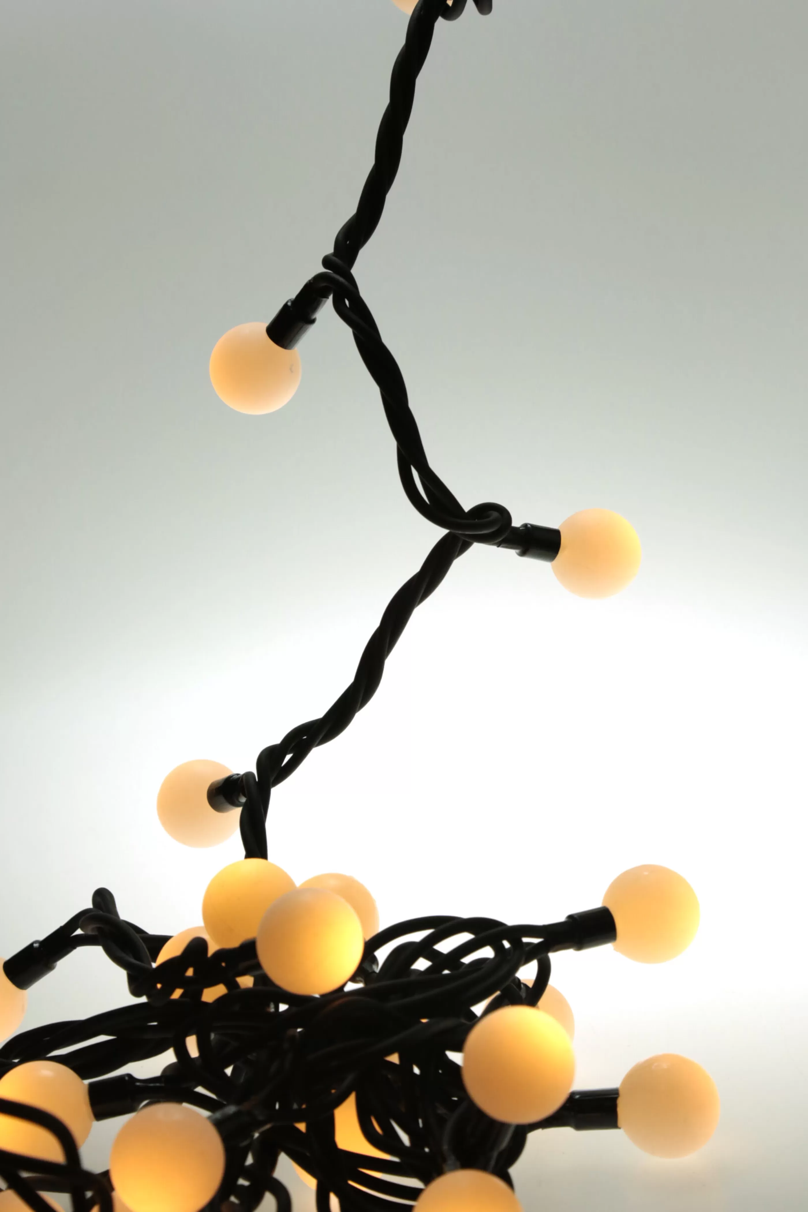 50 Extendable Outdoor Xp Led Warm-White Berry Christmas Lights*Christmas Land Discount