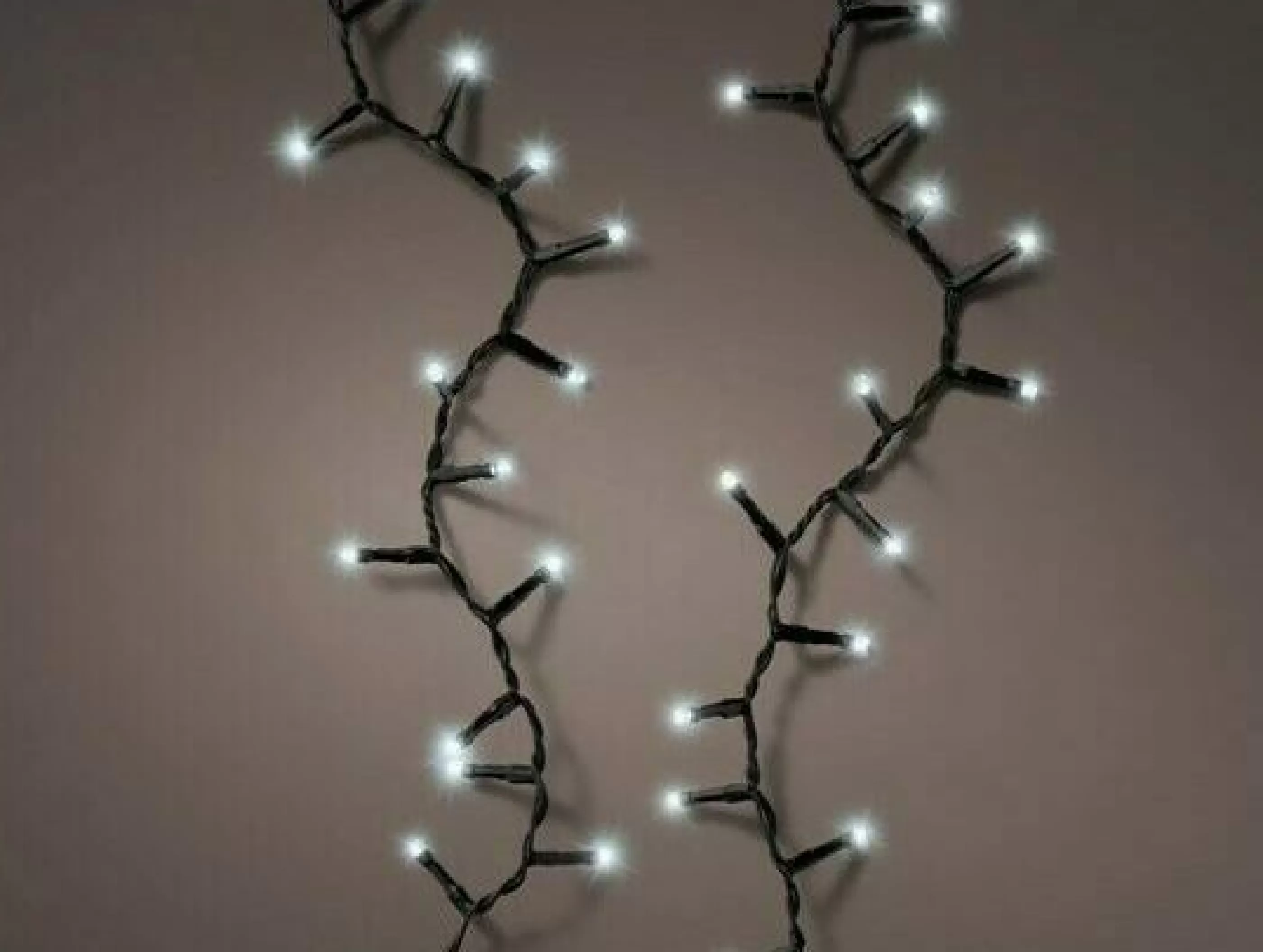 600 Durawise Xl Compact Twinkle Battery Christmas Lights Cool White*Christmas Land Shop