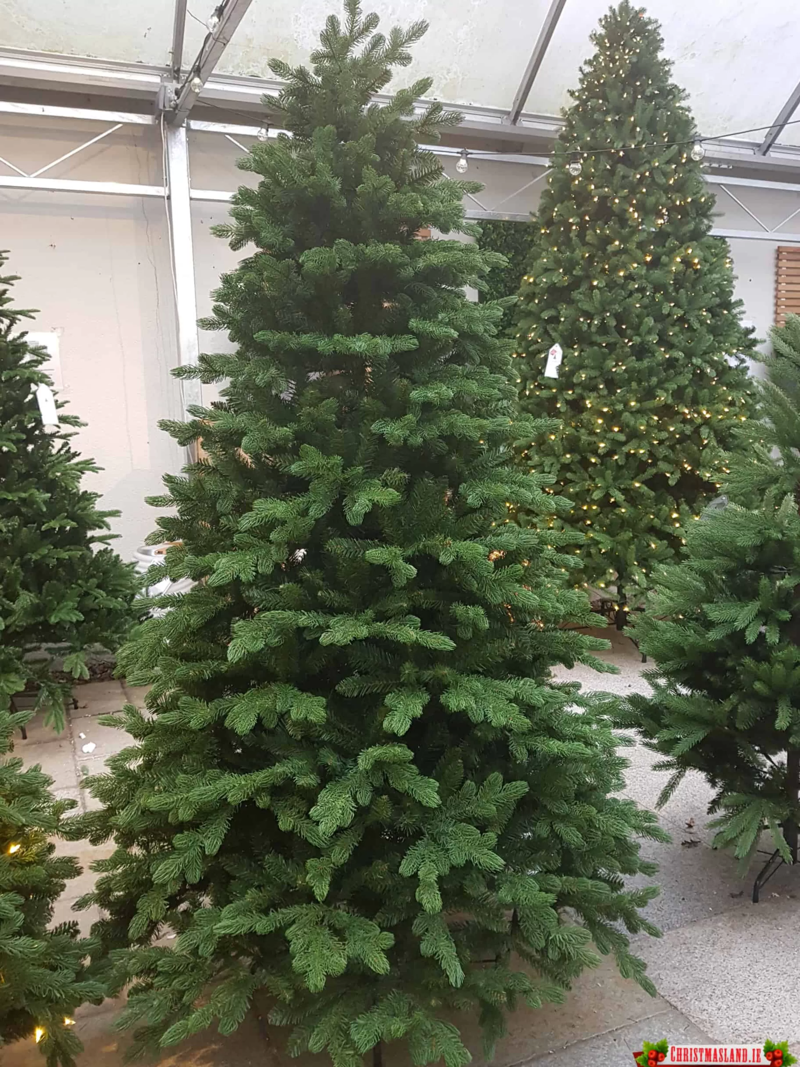 7.5Ft Feel Real Bosworth Spruce Artificial Christmas Tree*Christmas Land Shop