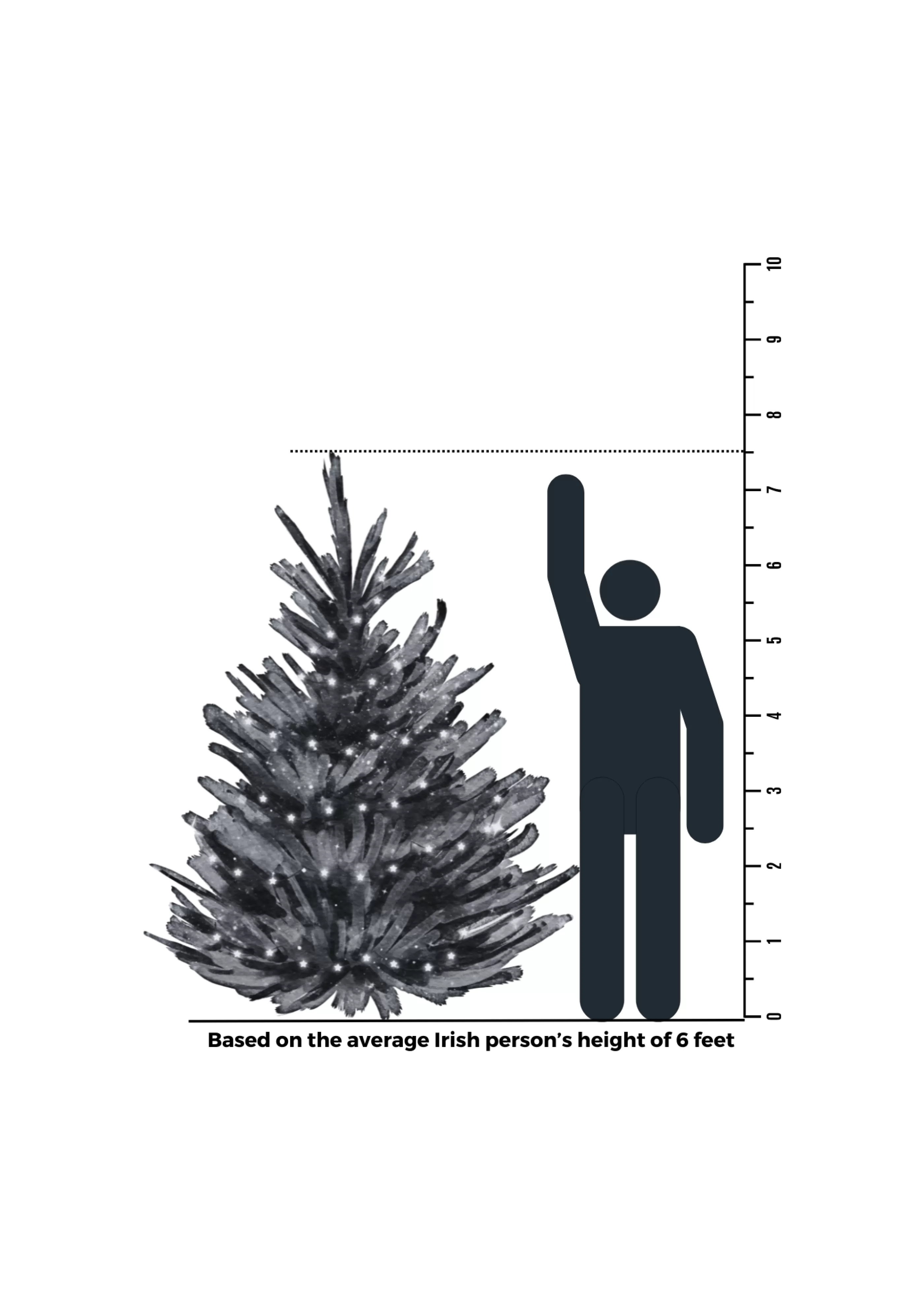 7.5Ft Feel Real Frosted Colorado Spruce Artificial Christmas Tree*Christmas Land Best