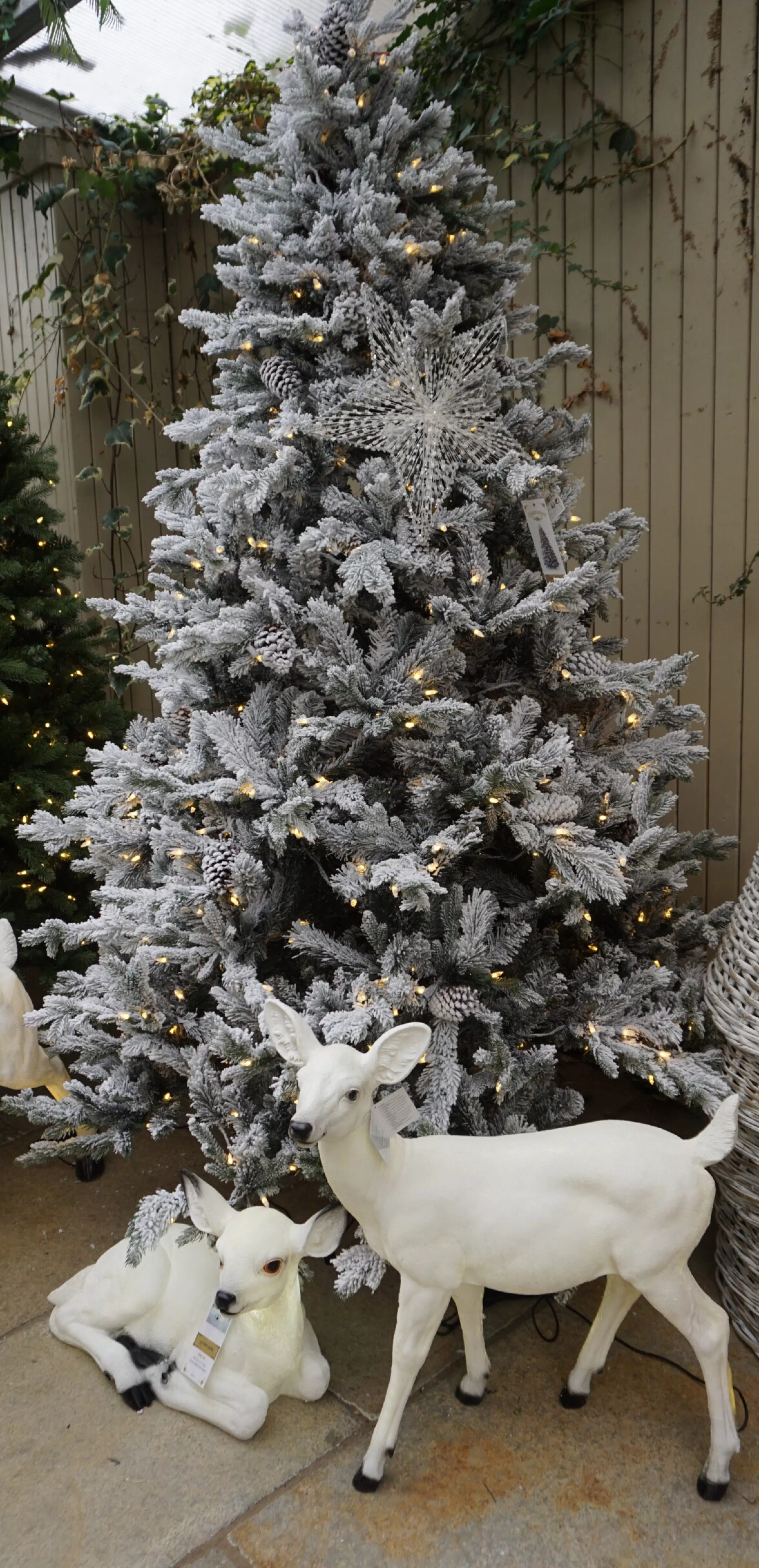 7.5Ft Feel Real Frosted Dorchester Pine Pre-Lit Artificial Christmas Tree*Christmas Land Fashion