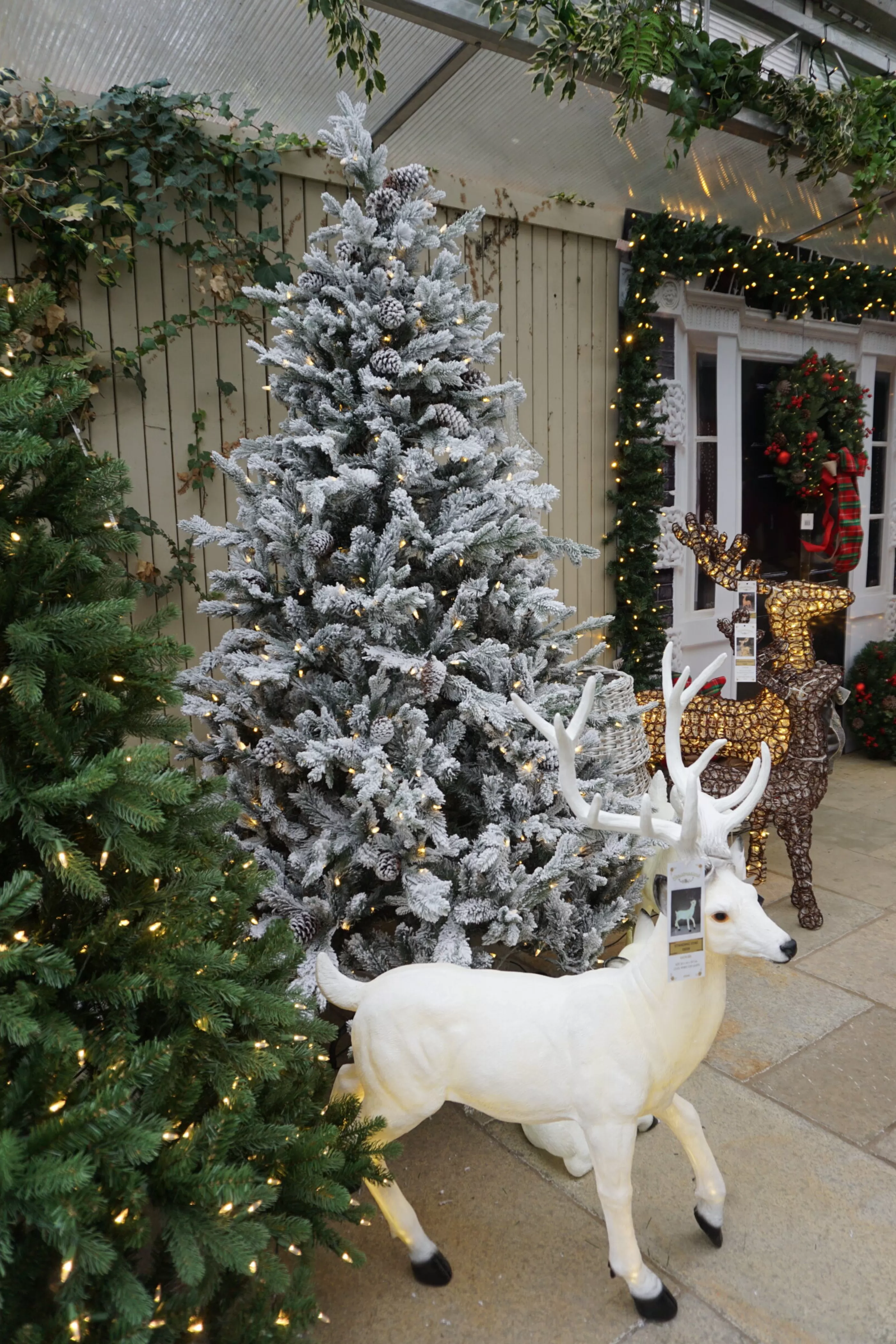 7.5Ft Feel Real Frosted Dorchester Pine Pre-Lit Artificial Christmas Tree*Christmas Land Fashion