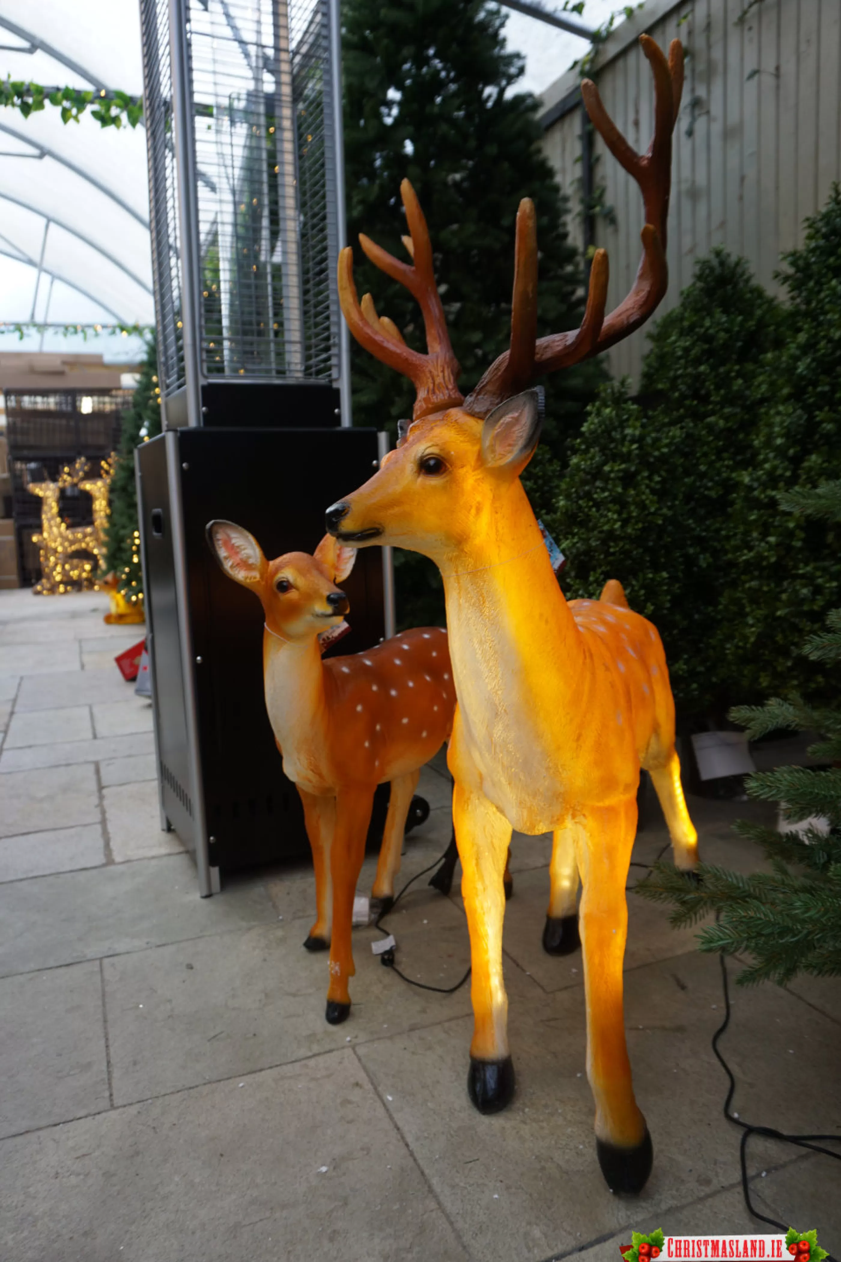 Standing Stag Deer With Warm White Led Lights*Christmas Land Clearance